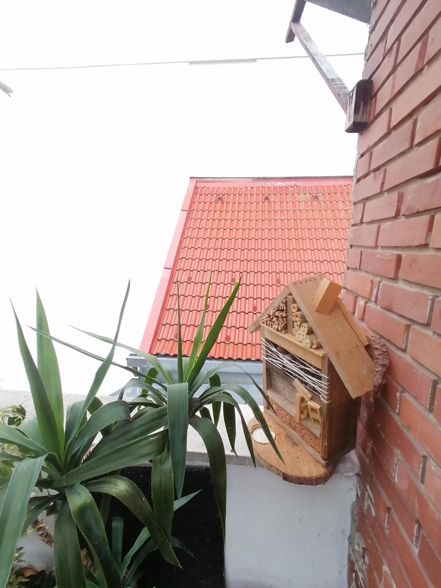 Ujkapu Sunshine Apartments Győr Zimmer foto